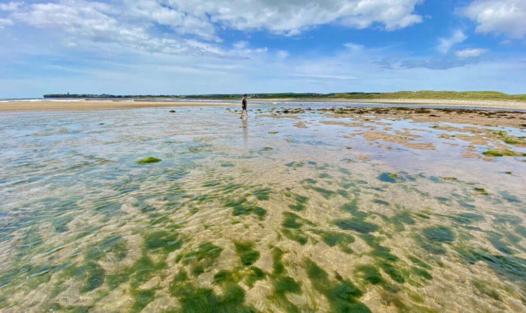 This image underscores the key phrase of this blog: Your Path is uniquely personal. Showing an individual walking along a glorious landscape with blue sky.